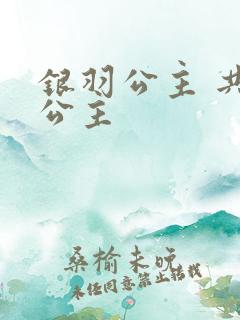 银羽公主 共享公主
