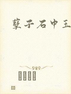孽子石中玉