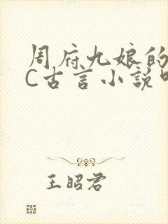 周府九娘的NPC古言小说叫什么