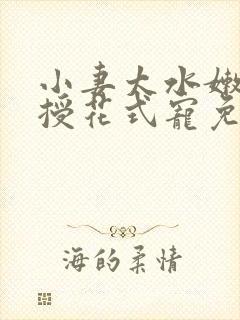 小妻太水嫩陆教授花式宠免费阅读 小说