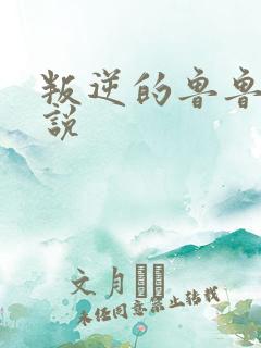 叛逆的鲁鲁修小说