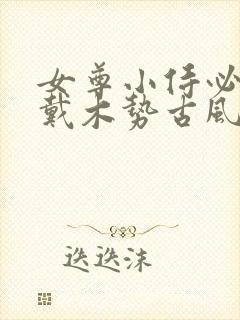 女尊小侍必须佩戴木势古风