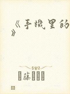 《手机里的秘密》