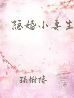 隐婚小妻生个娃