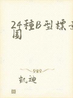 24种B型标意图