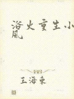 浴火重生小说陈风