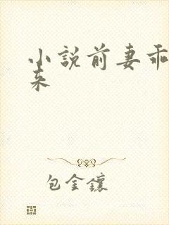 小说前妻乖乖回来