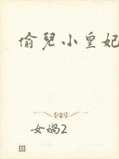 偷儿小皇妃