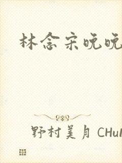 林念宋晚晚小说