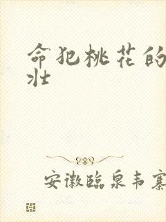 命犯桃花的李大壮