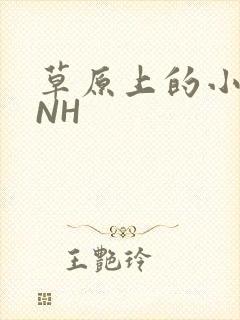 草原上的小公主NH