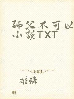 师父不可以灵犀小说TXT