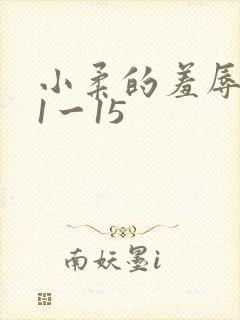 小柔的羞辱日记1一15
