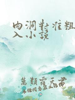 肉洞对准粗大坐入小说