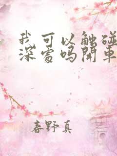 我可以触碰你的深处吗开车作文