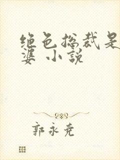 绝色总裁是我老婆 小说