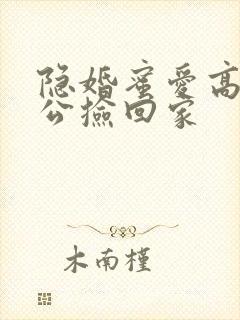 隐婚蜜爱高冷老公捡回家