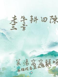 老牛耕田陈雪第三章