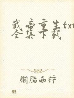 武帝重生txt全集下载
