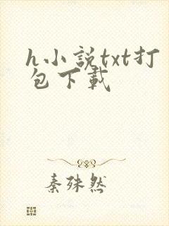 h小说txt打包下载
