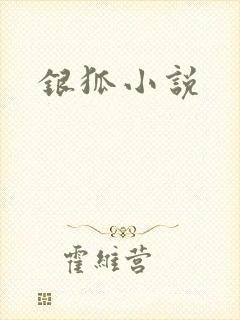 银狐小说