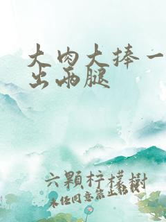 大肉大捧一进一出两腿