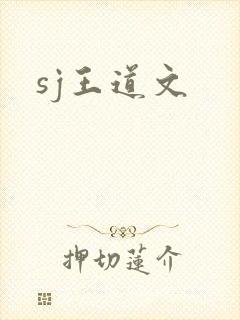 sj王道文