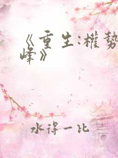 《重生:权势巅峰》