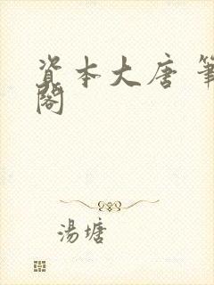 资本大唐 笔趣阁