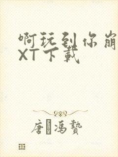 啊玩到你崩溃TXT下载