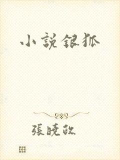 小说银狐