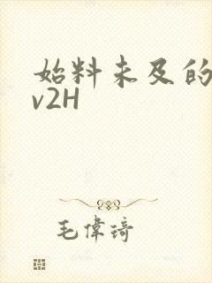 始料未及的软1v2H