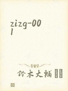 zizg-001