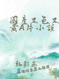 国产又色又爽又黄A片小说