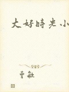 大好时光小说