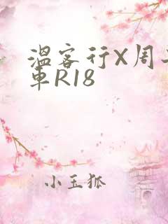 温客行X周子舒车R18
