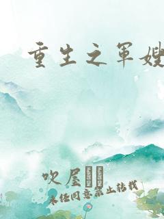 重生之军嫂
