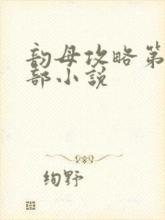 韵母攻略第12部小说