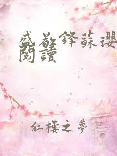 盛敬锋苏璎免费阅读