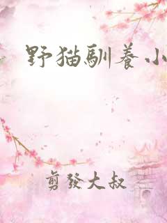 野猫驯养小说