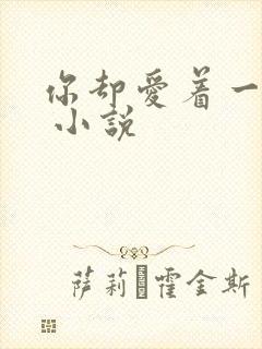 你却爱着一个他 小说