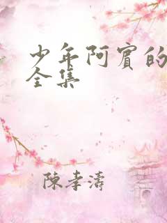 少年阿宾的故事全集