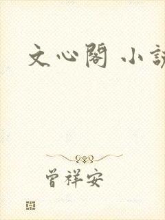 文心阁 小说