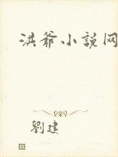 洪爷小说网