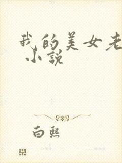 我的美女老婆们 小说