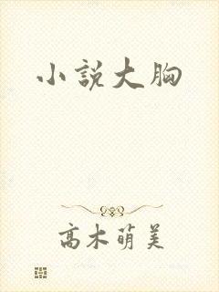 小说大胸