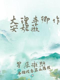 大理寺卿作者:安妮薇