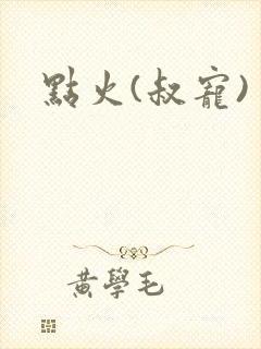点火(叔宠)
