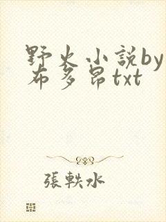 野火小说by夏布多昂txt