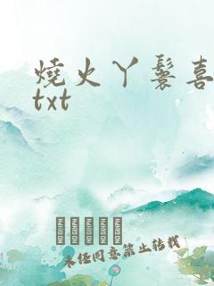 烧火丫鬟喜洋洋txt